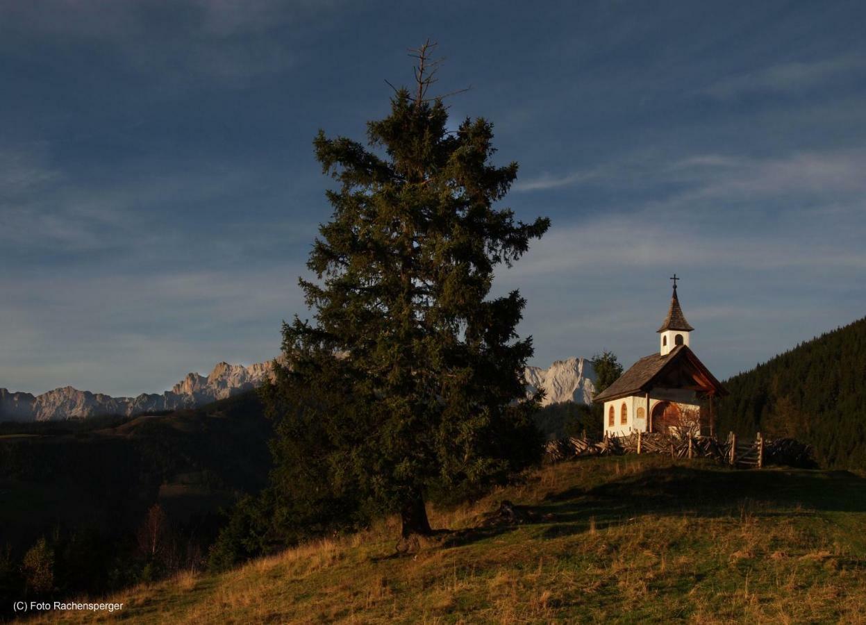 Chalet Im Dorf Goldegg Zewnętrze zdjęcie